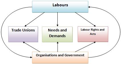 Conceptual Framework.jpg